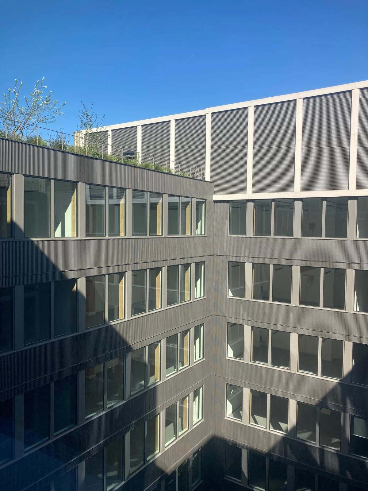 Bureaux lumineux bois  - Rue des Bretons — miniature 4